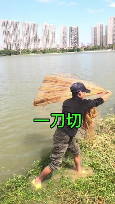 撒网要像刀锋一把空气切开旋转出去 纯手工大力马撒网 户外撒网捕鱼 纯手工手撒网 鱼网 手抛