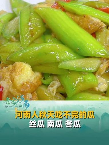 河南人秋天吃不完的瓜,丝瓜、南瓜、冬瓜,花样吃法,美味不停歇!河南 美食 家常菜