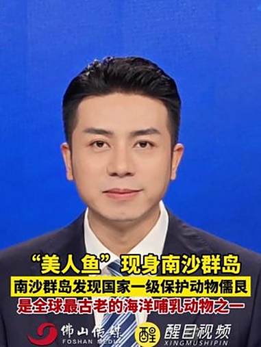 “美人鱼”现身南沙群岛！南沙群岛发现国家一级保护动物儒艮，是全球最古老的海洋哺乳动物之一。