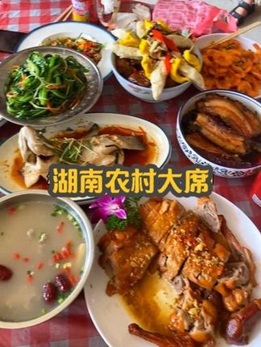 今天带你们搂湖南农村酒席!10多道菜 吃完一人发一塑料袋 农村酒席 我的乡村生活 周末不忙
