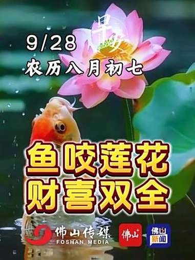 早安!今天是9月28日。鱼咬莲花,财喜双全!愿如鱼得水,好运连连!(编辑:王慧君;责编:梁