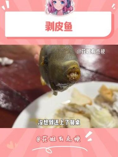 鱼:饭缩力拉满了怎么还吃我 剥皮鱼 饭缩力 抽象