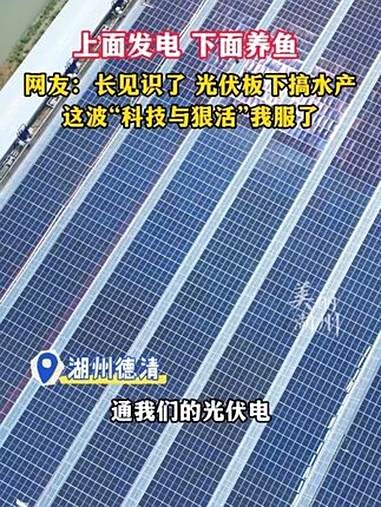 上面发电,下面养鱼!网友:长见识了 光伏板下搞水产,这波“科技与狠活”我服了!