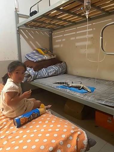 空调吹感冒了“小鳄鱼打吊针”小主：下次空调不能开16度了 神奇动物在抖音萌宠出道计划 鳄鱼