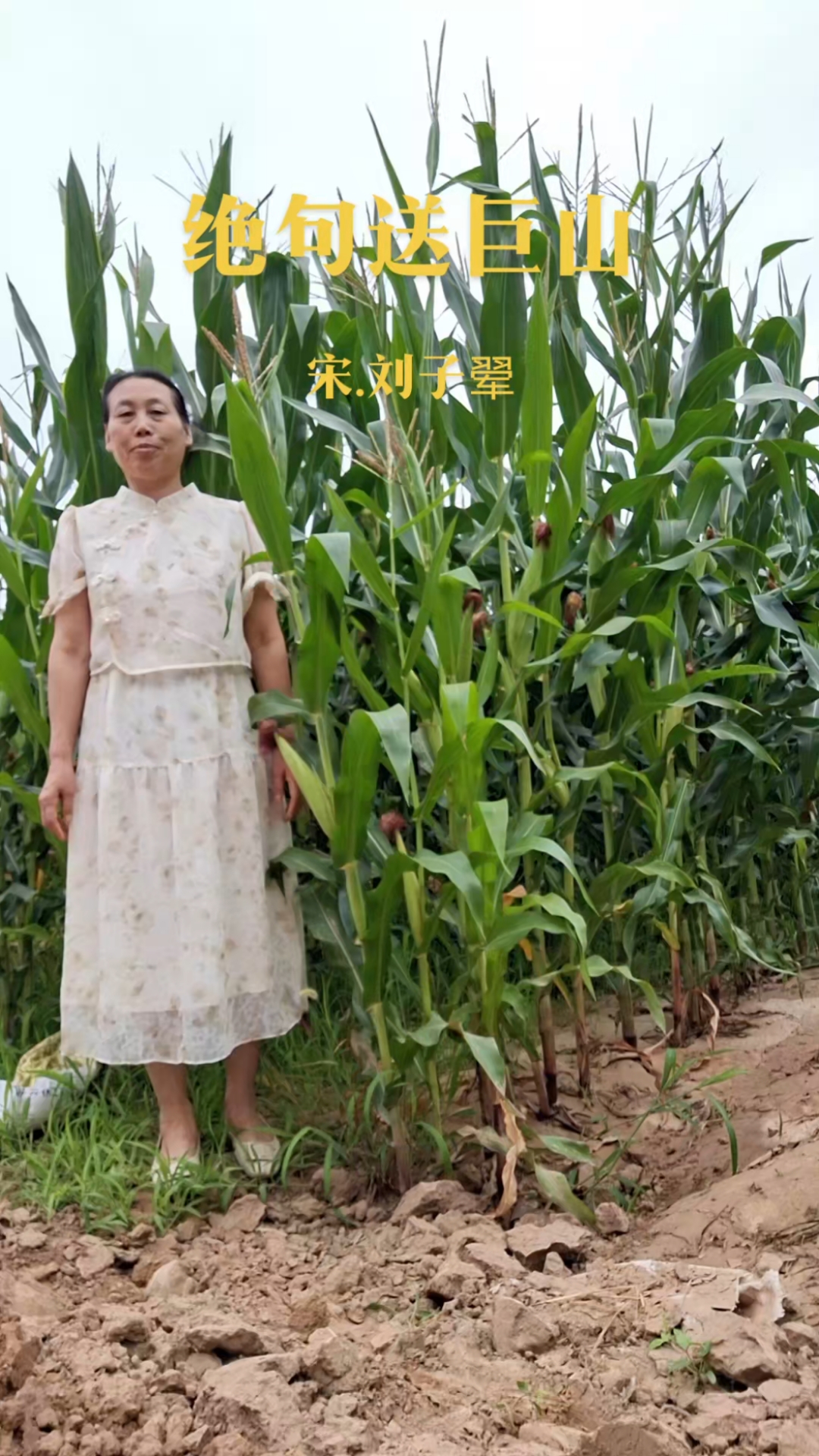 《绝句送巨山》是南宋诗人刘子翚所作的一首七言绝句。