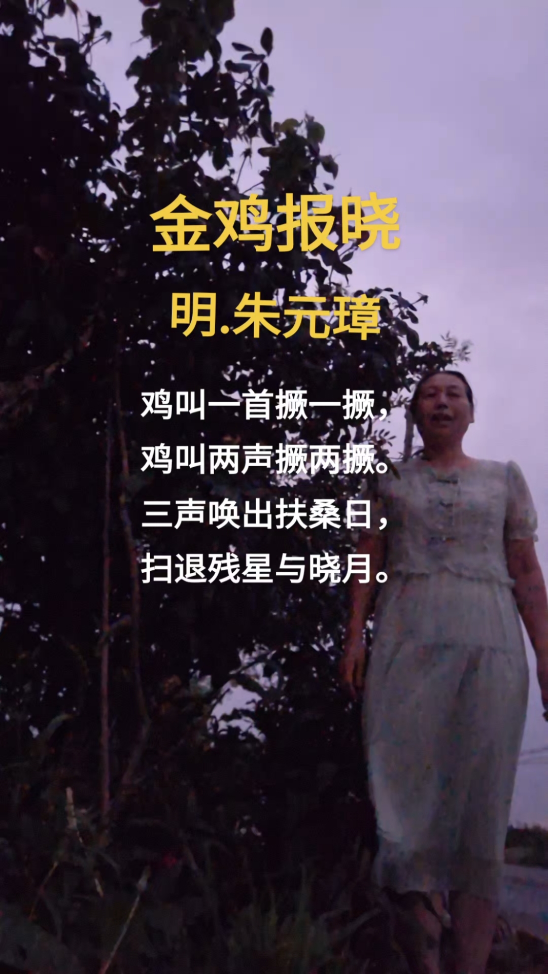 《金鸡报晓》是明代开国皇帝朱元璋登基时吟的打油诗。