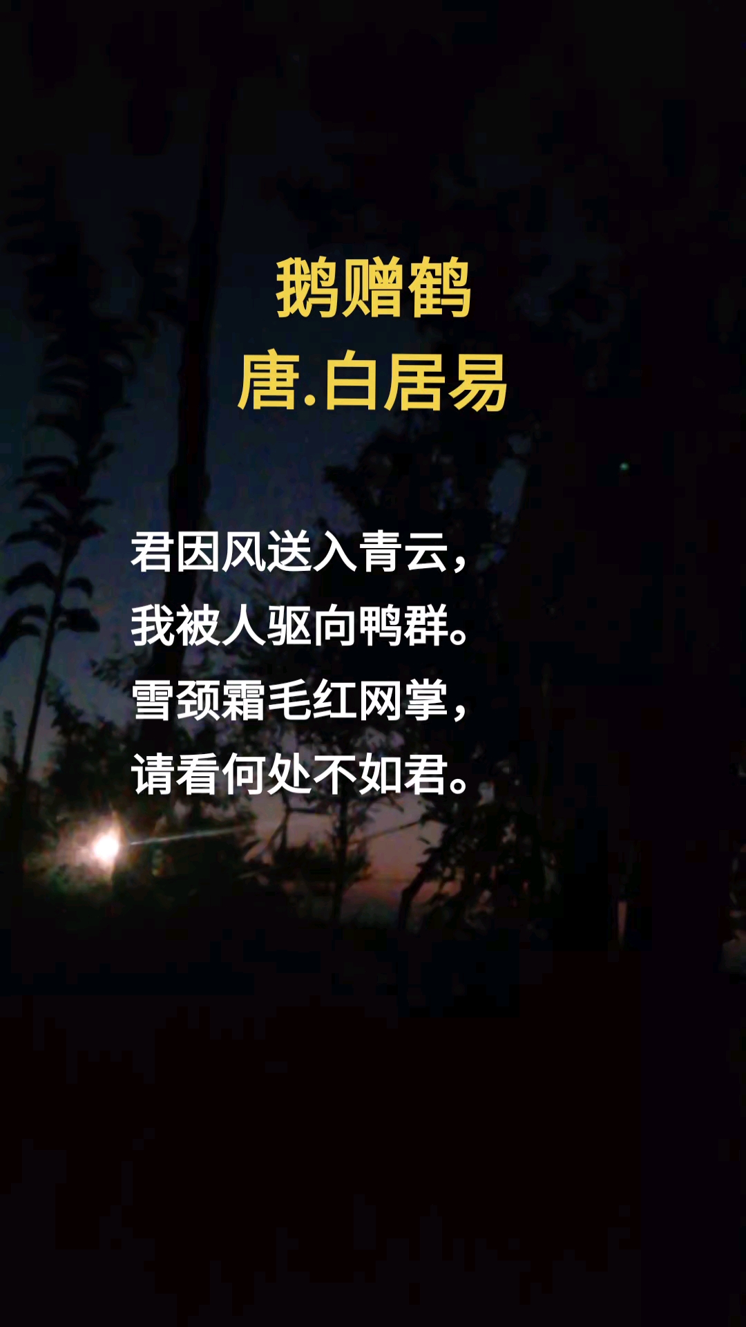 《鹅赠鹤》是唐代诗人白居易的七绝。