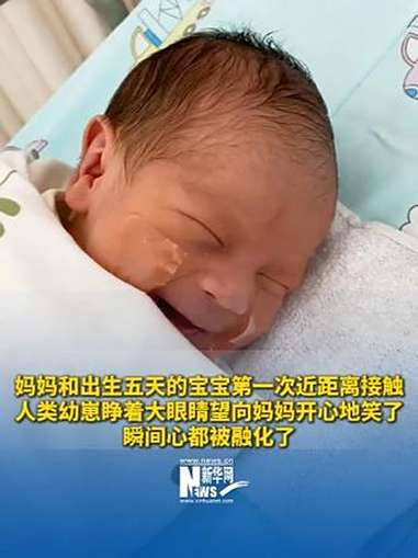妈妈和出生五天的宝宝第一次近距离接触,人类幼崽睁着大眼睛望向妈妈开心地笑了,瞬间心都被融化