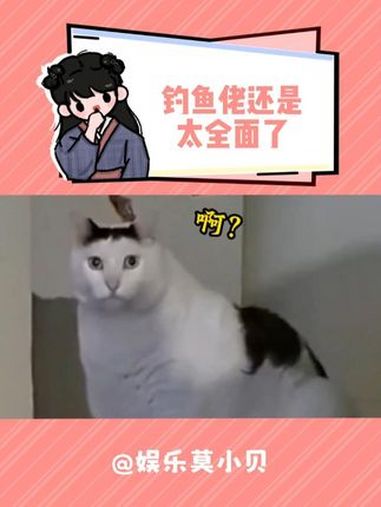 钓鱼佬还是太全面了 钓鱼佬 空军 万万没想到 搞笑