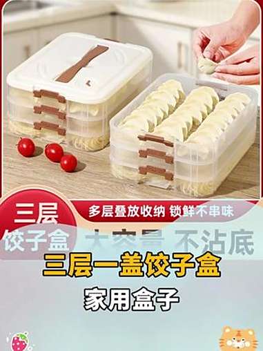 饺子盒 饺子盒 冰箱冷冻盒 多层冻饺子盒 家用水饺盒