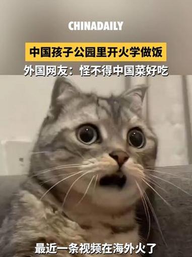 中国公园露天小厨房引热议 小朋友们系围裙、学做菜,20元拿下三道菜,好玩又实用。外国网友惊