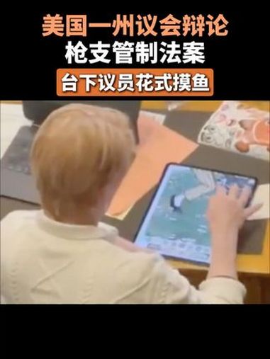美国一州议会辩论枪支管制法案,台下议员花式摸鱼