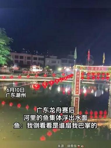 广东龙舟赛后,河里的鱼集体浮出水面,鱼:我倒看看是谁扇我!