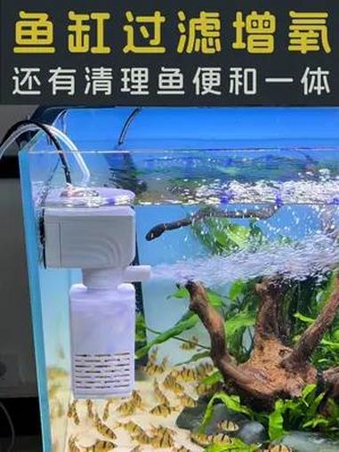 鱼缸过滤吸走鱼便还能造浪增氧,三和一内置过滤小型鱼马桶 氧气泵鱼缸 空气缸 观赏鱼 过滤系