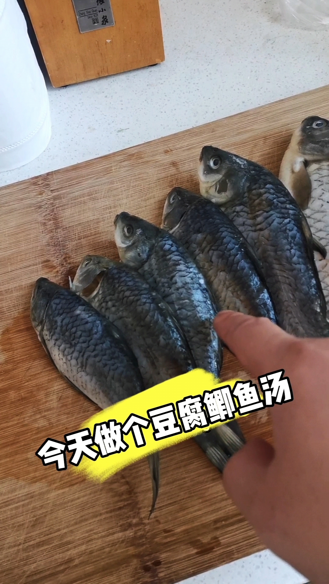 昨天晨晨拔了一颗智齿 我给她炖一个豆腐鲫鱼汤喝