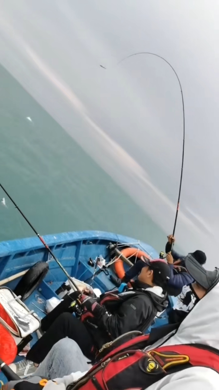 红海湾海域暗礁船矶,狂抽大黄鸡,白腊鱼