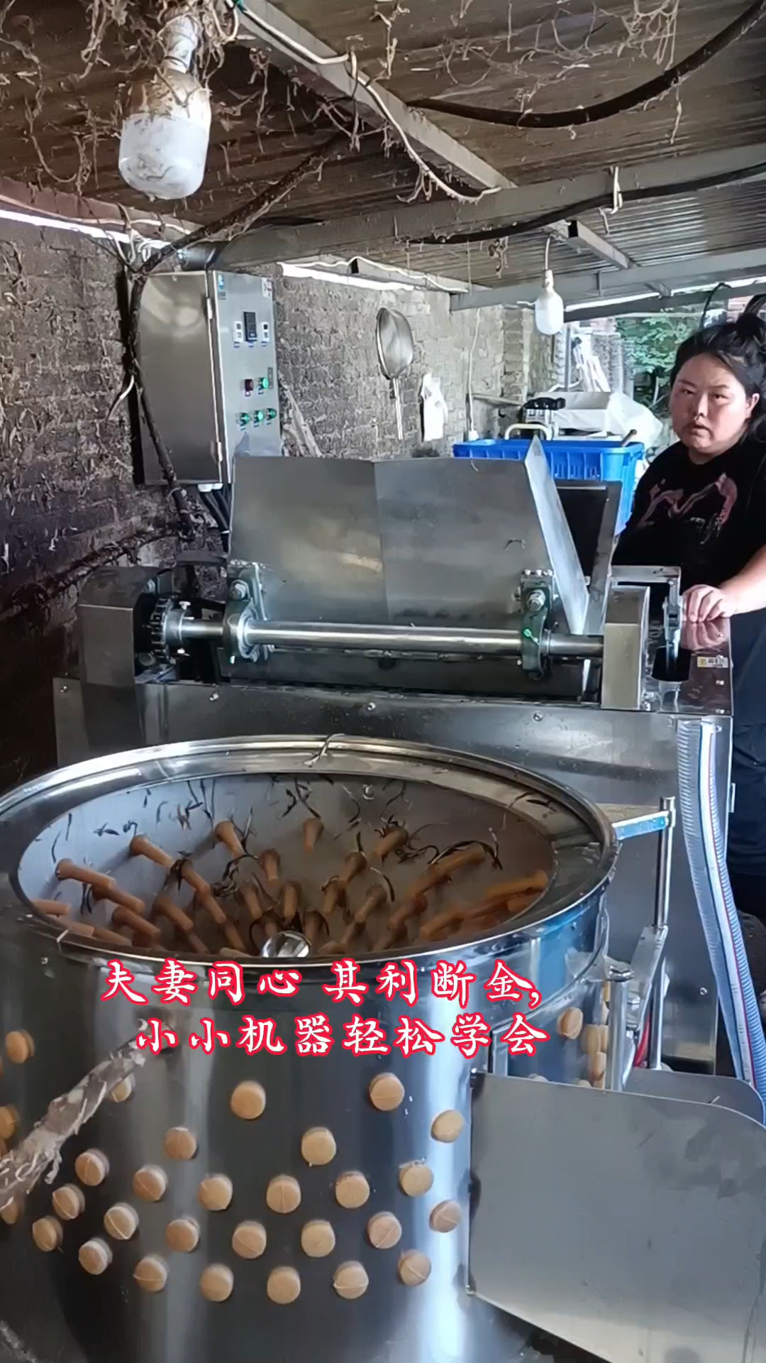 鸡鸭鹅小型自动脱毛机试机加工二只大公鸡