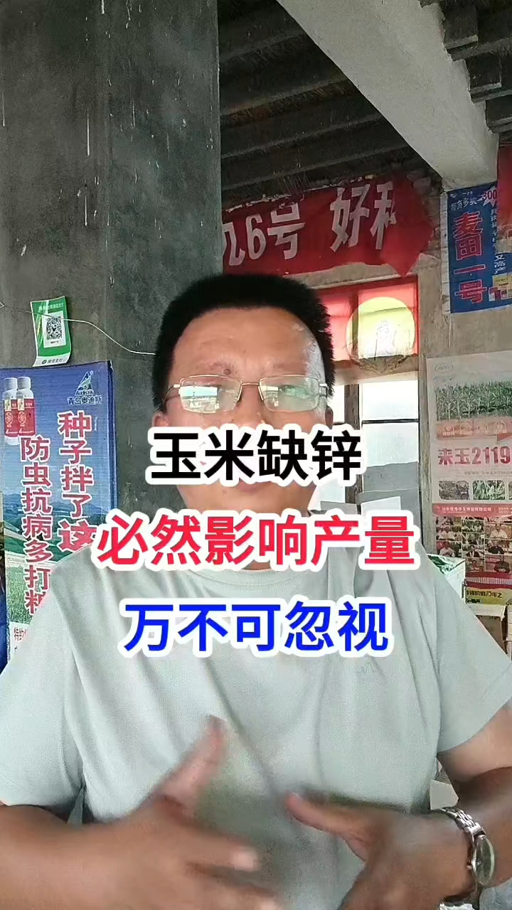 玉米缺锌，必然影响产量，万不可忽视