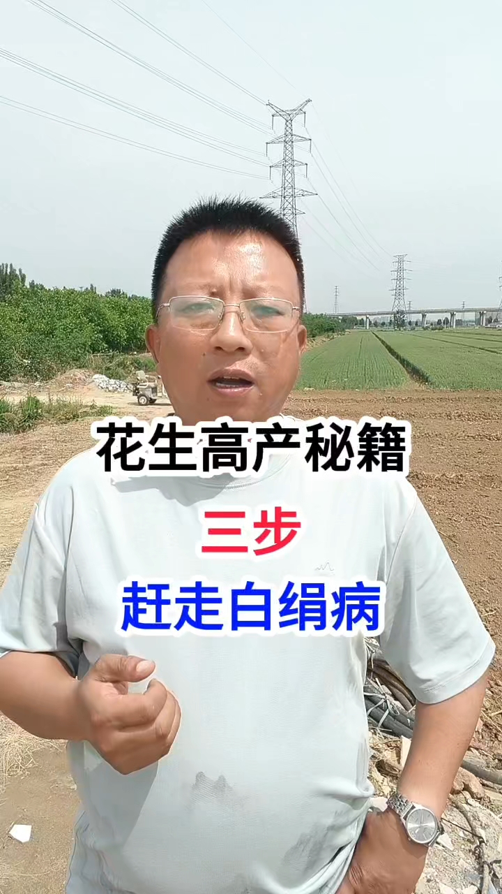花生高产秘籍,三步,赶走白绢病