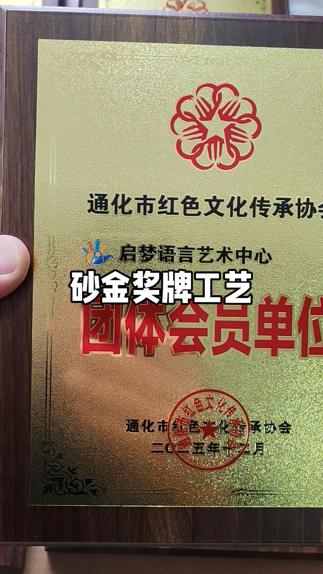 铝沙金奖牌工艺,颁奖牌匾荣誉牌匾铜牌