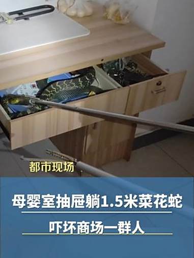 打开抽屉一条蛇,吓坏商场一群人,母婴室惊现1.5米菜花蛇 江西消防 捕蛇达人 菜花蛇有毒吗
