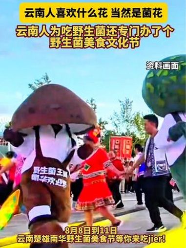 云南人喜欢什么花?当然是菌花!云南人为吃野生菌还专门办了个野生菌美食文化节,8月8日到11