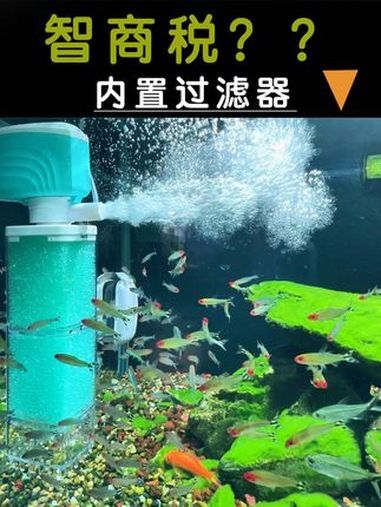 一个智商税鱼缸过滤器,换个使用方式,反而很强大!内置过滤器 鱼缸过滤 过滤系统 水族 养鱼