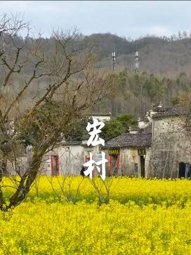 接下来的春天,皖南是这样的……皖南 水墨山水 徽派建筑 古村落风景 春天