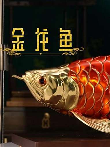 水中贵族金龙鱼摆件,不费心养护,却能让办公桌气场全开!-梓 铜器 金龙鱼 非遗工艺 办公室