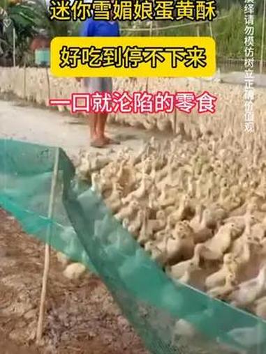 迷你小包雪媚娘蛋黄酥红豆紫薯芒果味整箱小吃30枚 蛋黄酥 零食推荐 好吃到停不下来 一口就
