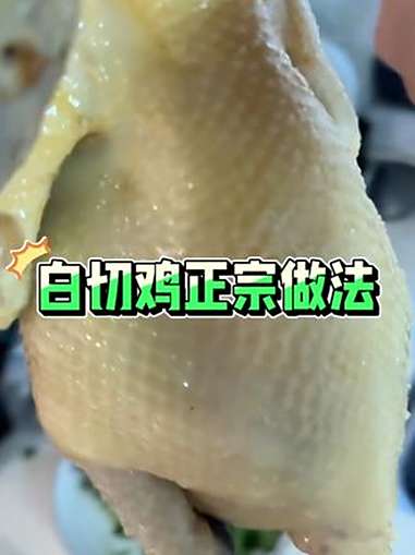 湛江白切鸡正宗做法揭秘 白切鸡 美食 湛江白切鸡 地方特色美食 北和龙葵鸡
