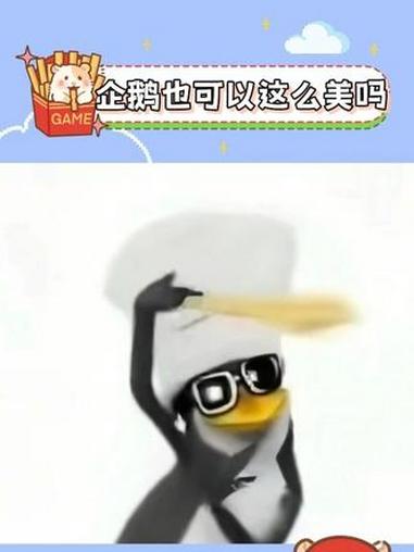 请各位高雅人士鉴赏 企鹅 高雅人士 鉴赏中