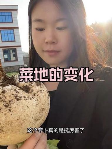 为了让我结婚后有属于自己的家，老爹给了280平宅基地建房，这段时间终于把草地变成菜地了 种