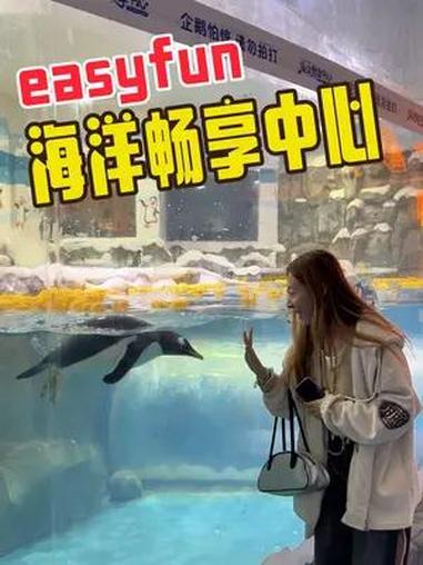 遛娃就来海洋畅享中心 企鹅表演 六- 暑假 锦鲤 毕业季