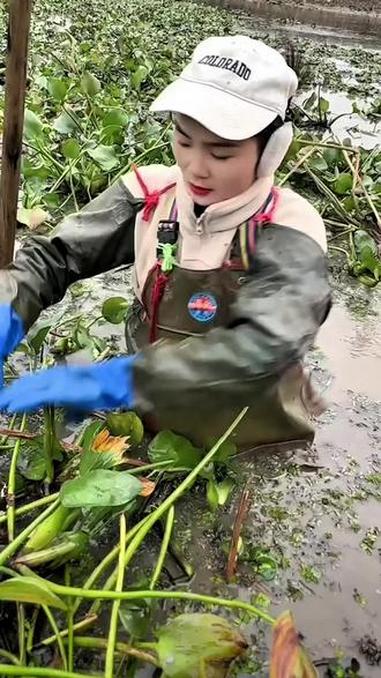 徒手捉鳖 捉鱼摸虾