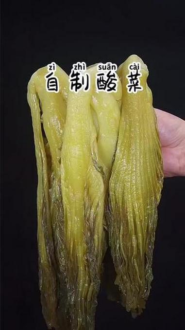 自制酸菜教程分享 #腌酸菜 #酸菜 #泡菜 #腌酸菜 #家乡特产 @DOU+小助手