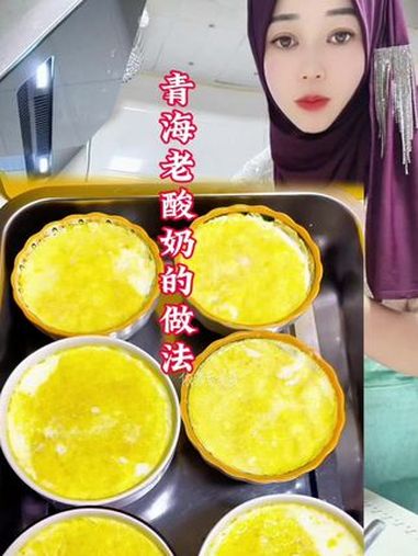 用泡沫箱做酸奶也太成功了吧 自己做的酸奶比外面买的好吃 干净饮食 青海老酸奶 谁懂这一口的