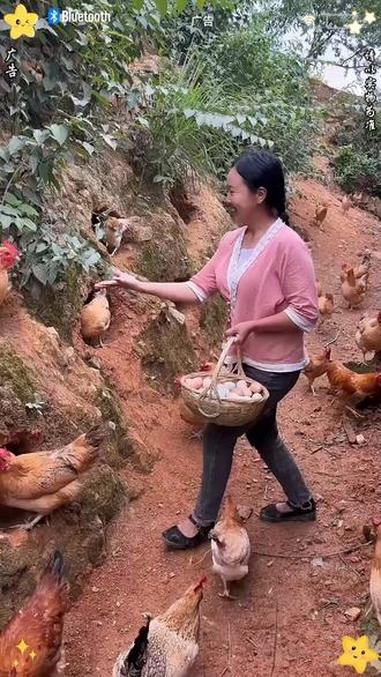 山林散养土鸡蛋！好吃根本停不下来 农村土鸡蛋 强烈推荐 土鸡蛋土鸡 种草 m