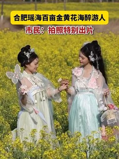 合肥瑶海百亩金黄花海醉游人 油菜花