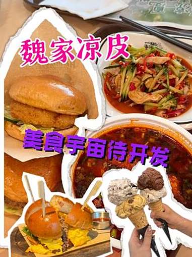 有急事去趟西安!大馋丫头已经迫不及待了!魏家凉皮 汉堡 西安 美食