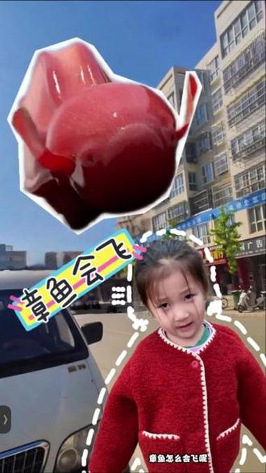 会飞的鱼 搞笑 看一遍笑一遍 儿童动画 3-6岁儿童动画视频 特效