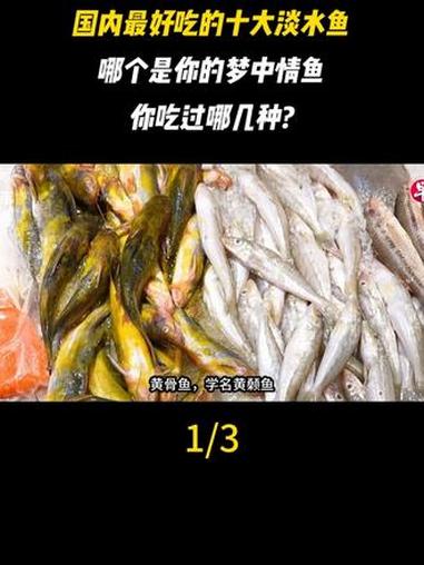国内最好吃的十大淡水鱼，哪个是你的梦中情鱼，你吃过哪几种？