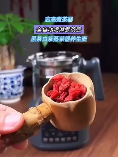 养生壶 煮茶器 泡茶神器 电茶炉 养生茶