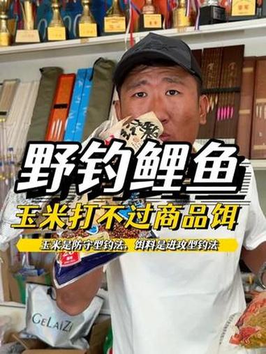 野钓鲤鱼，玉米其实是打不过饵料的 尤其是南方 #钓鲤鱼 #钓鱼的乐趣只有钓鱼人懂 #钓鱼人