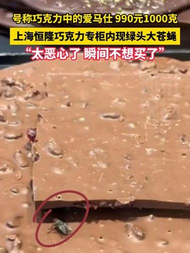 上海恒隆巧克力专柜内现绿头大苍蝇,号称巧克力中的爱马仕 990元1000克 巧克力 莱德拉