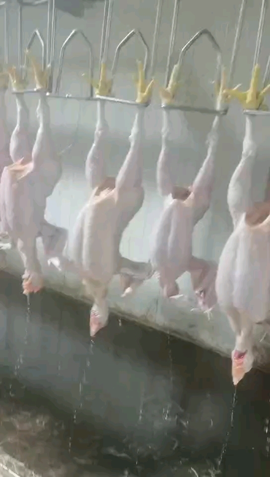 正顺小型家禽屠宰流水线 杀鸡流水线多钱 鸡鸭鹅宰杀设备厂家