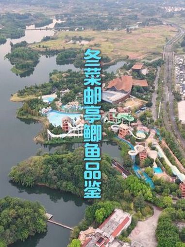 大足冬菜邮亭鲫鱼品鉴 美食推存官 王会长说美食 渝味360碗