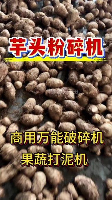 商用万能果蔬粉碎机 水果蔬菜打泥机 同事适用于破碎各种水果 蔬菜 中药材 根茎类物料 是红
