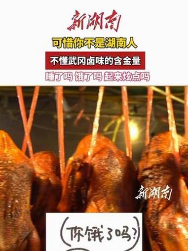 可惜你不是湖南人，不懂武冈卤味的含金量！#武冈 #武冈卤菜（编辑 思思）