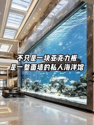 不只是一块亚克力板,是一整面墙的私人海洋馆。#别墅鱼缸设计 #大型亚克力鱼缸 #水族馆设计